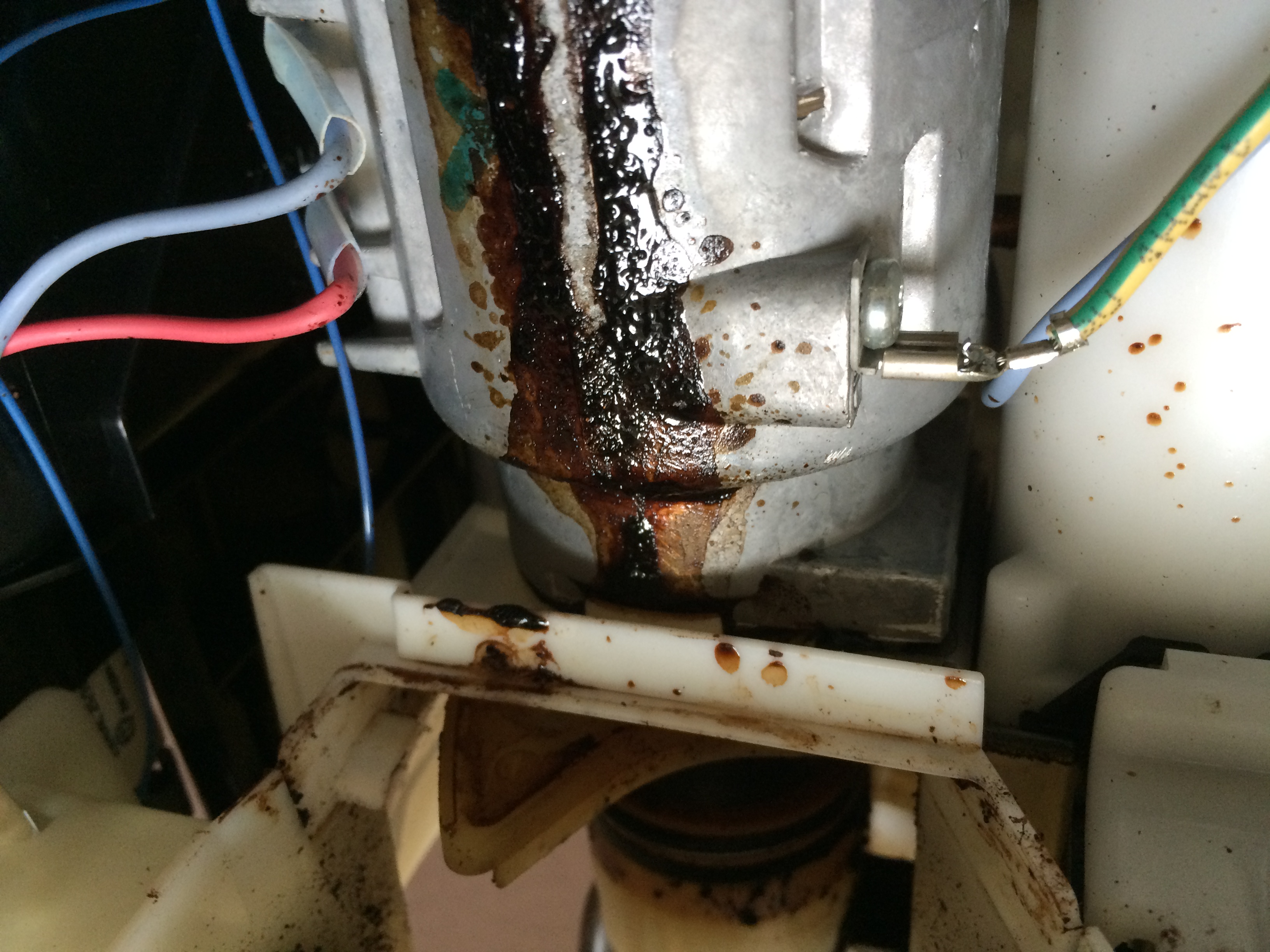 Bean2cup.org | krups ea8260 leaking - brown water runs out of machine  (Repair & Maintenance >> Krups)