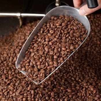 Dauner Kaffeer&ouml;sterei Java Blawan