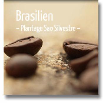 delMocca Kaffeerösterei BRASILIEN Plantage Sao Silvestre