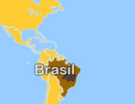 Die Rösterei Brasil Yellow Bourbon