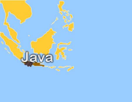 Die Rösterei Java