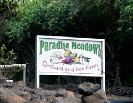 Die Rösterei Hawaii Kona Paradise Meadows coffee company