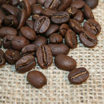 Kaffee Manufaktur Mexiko &raquo;La Selva&laquo; Bio
