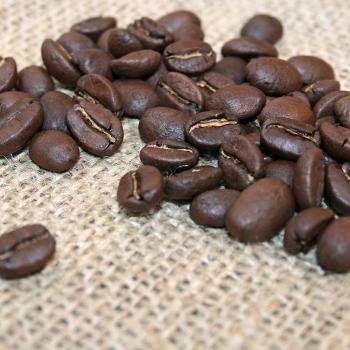 Kaffee Manufaktur Nicaragua &raquo;Matagalpa&laquo; Bio