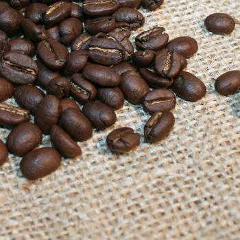 Kaffee Manufaktur &Auml;thiopien Wildkaffee Kafa Forest